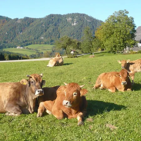 Grossgrub Vorderstoder