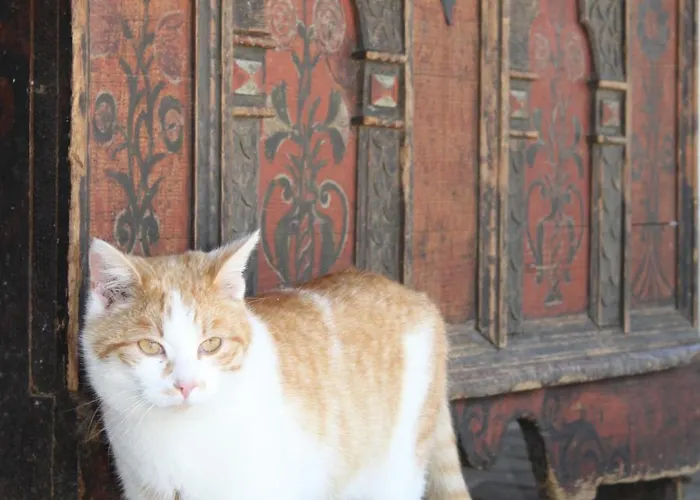 Фермерский дом Grossgrub