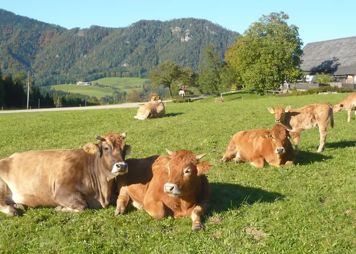 Grossgrub Фордерстодер